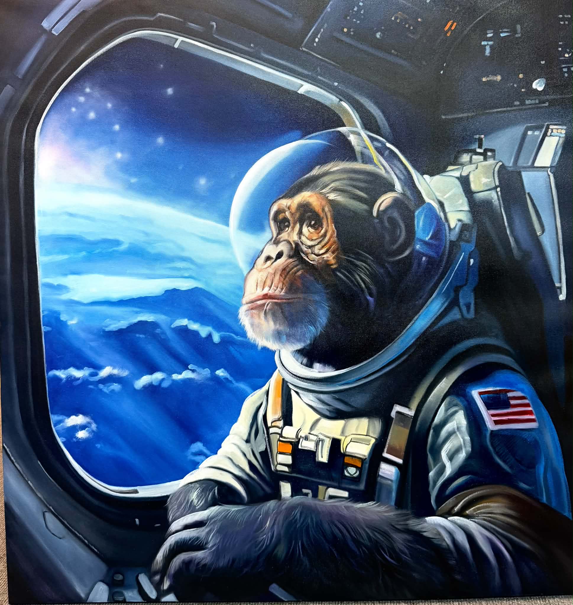 Monkey011