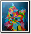 Cat001